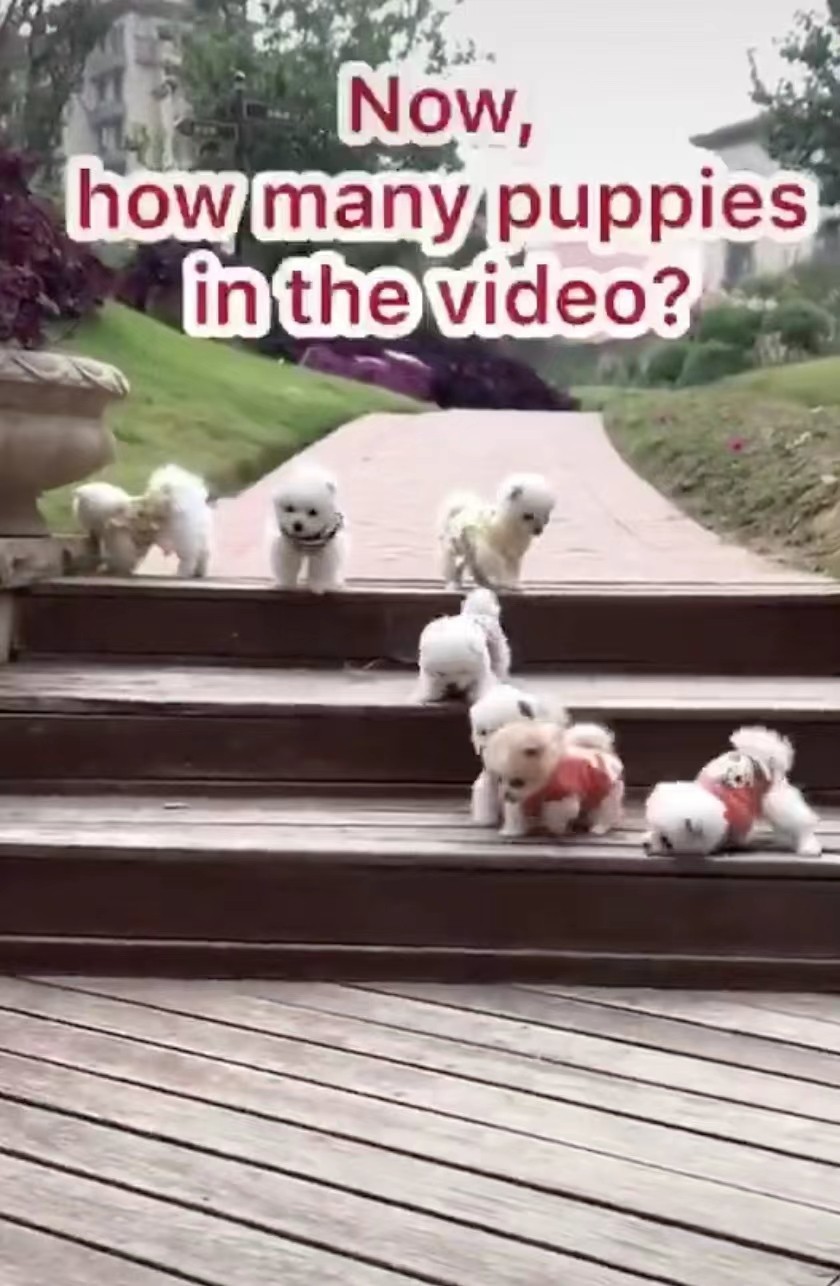 TikTok视频描述文案写作技巧有哪些