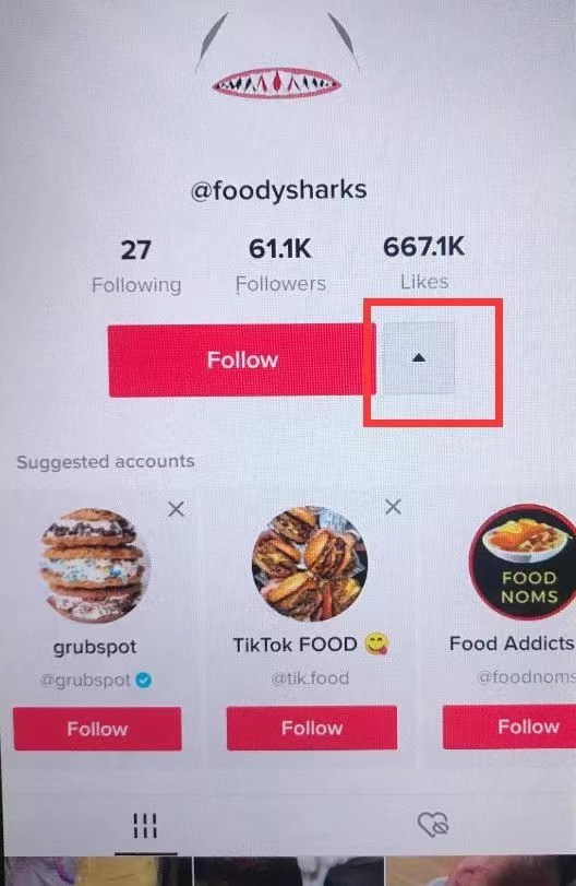 Tiktok标签的作用有哪些