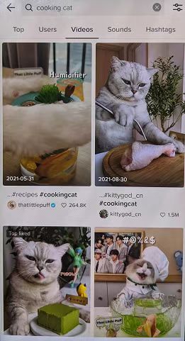 Tiktok标签的作用有哪些