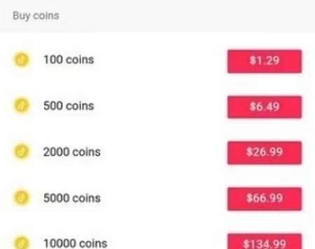 Tiktok如何赚钱？